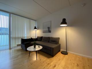 Newly Built 1 Bedroom Apartment With Balcony - 3