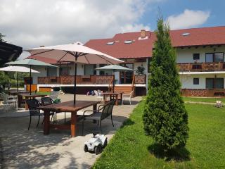 Pensiunea Casa Gobbel - Bran - 8