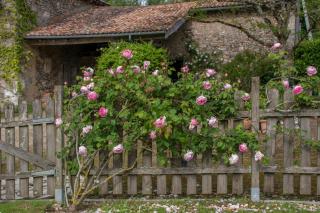 Chambres d'Hôtes La Pocterie - 4