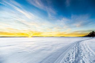 Lapland Dream Villas - Rauhala - 9