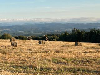 L'Ancienne Forge - 6