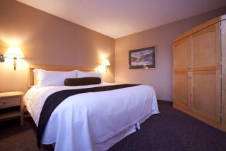 Ramada Plaza by Wyndham Prince George - Prince George - 7