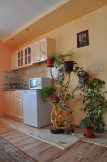 Guest House Eli - Sapareva Banya - 5