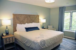 The Summit at Massanutten Resort by TripForth - 4