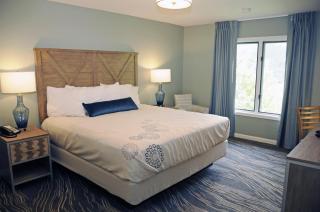The Summit at Massanutten Resort by TripForth - 3