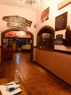Gran Turín Hotel Boutique parque,arte y tecnología - Villa Carlos Paz - 9