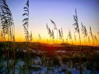 Gone Gulfn - Incredible Home With Private Pool - Panama City Beach - 4