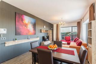 Forest corner in silver mountain of poiana brasov - 7