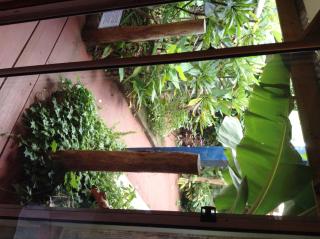 Tupa Hotel - Hanga Roa - 9