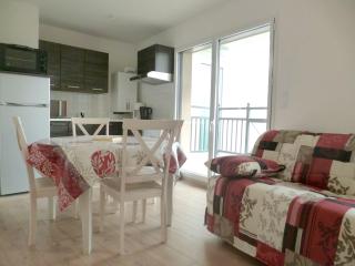 Appartement charmant à Dinard avec balcon et jardin - Dinard - 9