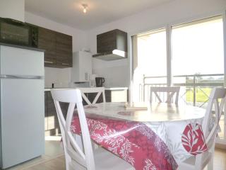 Appartement charmant à Dinard avec balcon et jardin - Dinard - 8