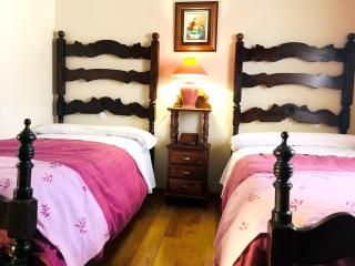 Spacious house in Navarredonda, mountain view - Navarredonda de Gredos - 6