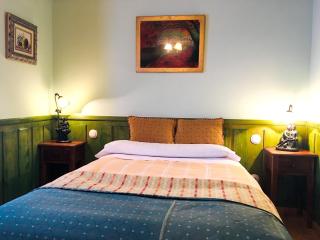 Spacious house in Navarredonda, mountain view - Navarredonda de Gredos - 5