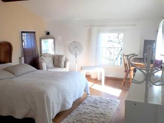 Maison de charme en campagne à Cucuron avec piscine privée - Cucuron - 9