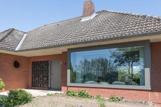 Schobüller Austernfischer - 9