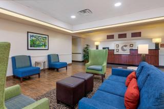 Comfort Inn & Suites Airport - Fort Myers - 5