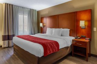 Comfort Inn Fort Mill Amusement Park at Carowinds Blvd - Fort Mill - 7