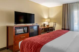 Comfort Inn Fort Mill Amusement Park at Carowinds Blvd - Fort Mill - 6