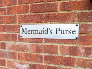 Mermaid's Purse - 8