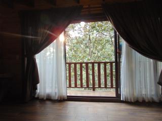 Cabaña dentro del Bosque para 24 Personas - 1