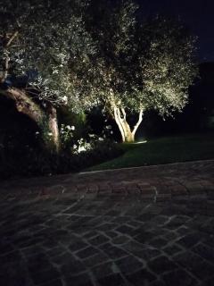 Villa Beatrice - Brescia - 8
