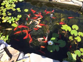 Periwinkle Inn - Cape May - 6