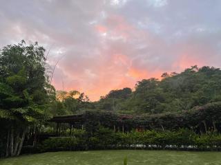 Soul Sync Sanctuary formally Hacienda la Moringa - 9