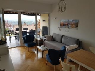 Blick über Krems mit Terrasse - Krems an der Donau - 7