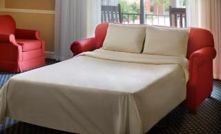The Inn at Stone Mountain Park - Stone Mountain - 4