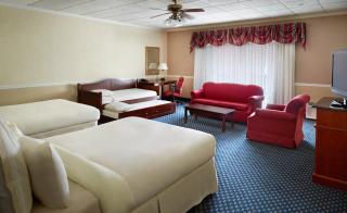 The Inn at Stone Mountain Park - Stone Mountain - 5