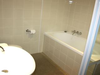 Twin Pines 401 CBD Location - Forster - 4