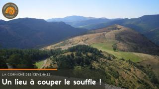 Alberguiere - Piscine chauffée - plancha - barbecue - Pont de Ravagers - 5