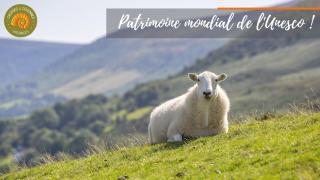 Alberguiere - Piscine chauffée - plancha - barbecue - 4