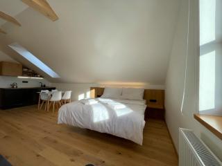 Apartmány Hacienda Boží Dar - Boží Dar - 5