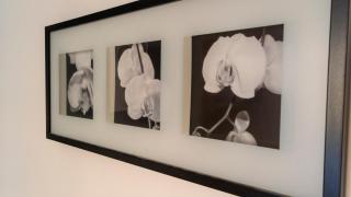 Italianway - Riva di Reno 47 B - 3