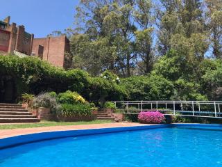 Hotel del Bosque - 4