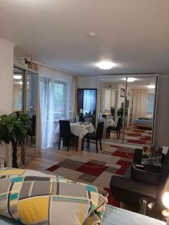 At the Lichtentaler Allee Apartment - Baden-Baden - 9