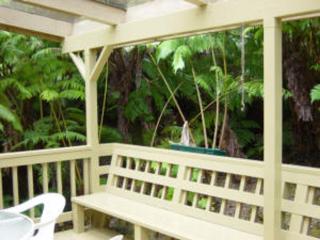 Cymbidium House Volcano Village by Casago Kona - Fun! - 3