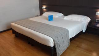 Best Western Plus Hotel Monza e Brianza Palace - 6