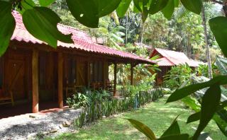 Esquinas Rainforest Lodge - Golfito - 6