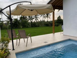 Luxury Villa Ada Padi Ubud one bed room - 1