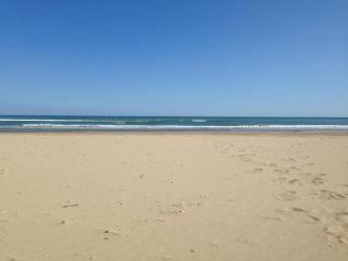 Hotel Zenit - Riccione - 7