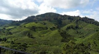 Primark Holiday Apartment Cameron Highlands - Brinchang - 9