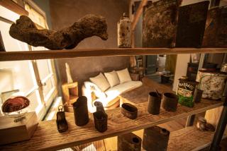Le Refuge Cérétan, grand et bel appartement mansardé en plein centre - Céret - 6