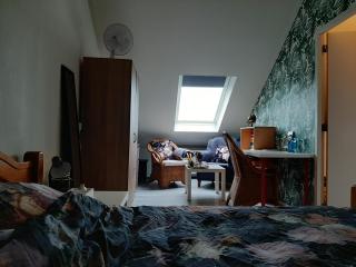Hooibeemd - Assen - 4