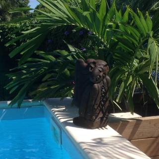 Chambre d'hôte Coeur-CoCo piscine - Saint-François - 2