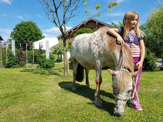 Mühlberger Hof - Petting - 7
