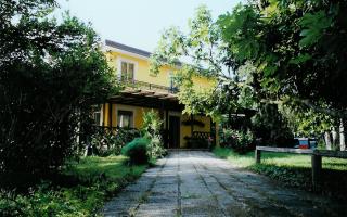 Casa del Miele - 2