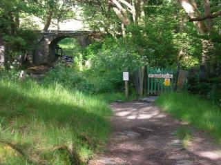 The Dolgoch - Bryn-crug - 8
