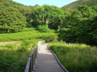 The Dolgoch - Bryn-crug - 3
